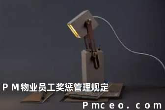 pm物业员工奖惩管理规定