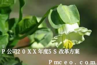 p公司20xx年度5s改革方案