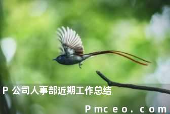 p公司人事部近期工作总结