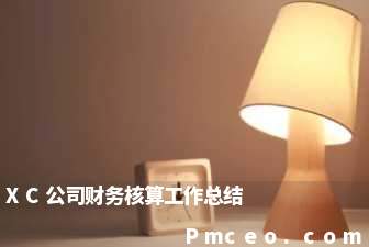 xc公司财务核算工作总结