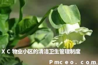 xc物业小区的清洁卫生管理制度