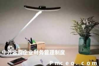 中外合资企业财务管理制度