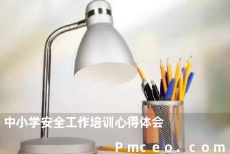 中小学安全工作培训心得体会