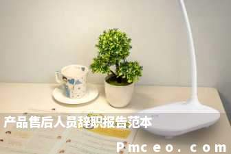 产品售后人员辞职报告范本