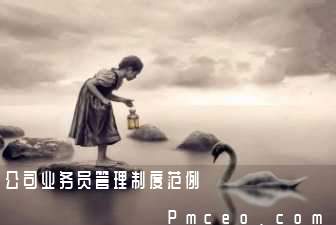 公司业务员管理制度范例