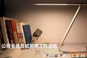 公司业务员试用期工作总结