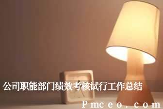 公司职能部门绩效考核试行工作总结