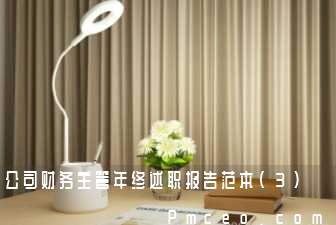 公司财务主管年终述职报告范本(3)