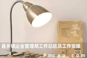 县乡镇企业管理局工作总结及工作安排