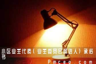 小区业主代表（业主委员会候选人）承诺书