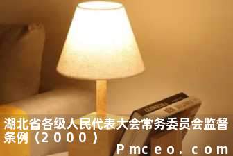 湖北省各级人民代表大会常务委员会监督条例（2000）