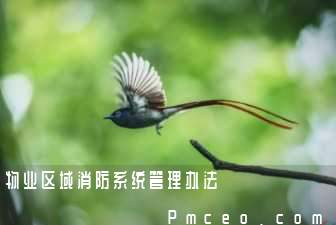 物业区域消防系统管理办法