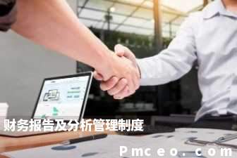 财务报告及分析管理制度